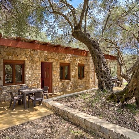 Stonehouse In Olives Lejlighed Ulcinj Eksteriør billede