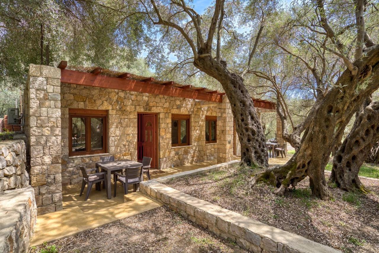 Stonehouse In Olives Lejlighed Ulcinj Eksteriør billede