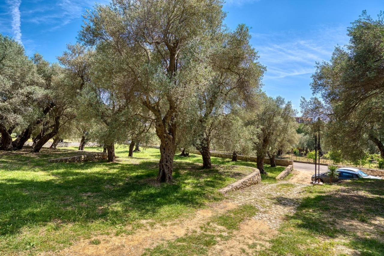 Stonehouse In Olives Lejlighed Ulcinj Eksteriør billede