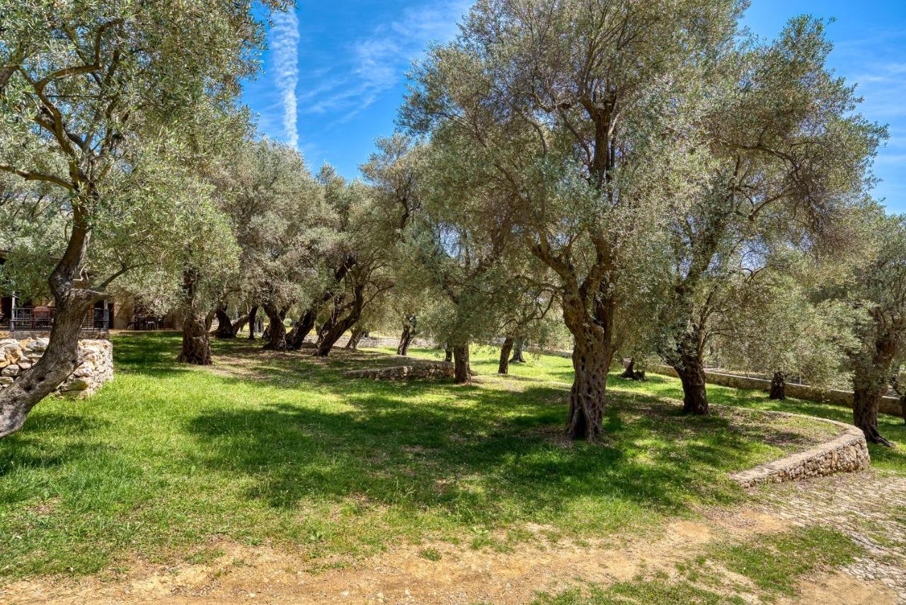 Stonehouse In Olives Lejlighed Ulcinj Eksteriør billede