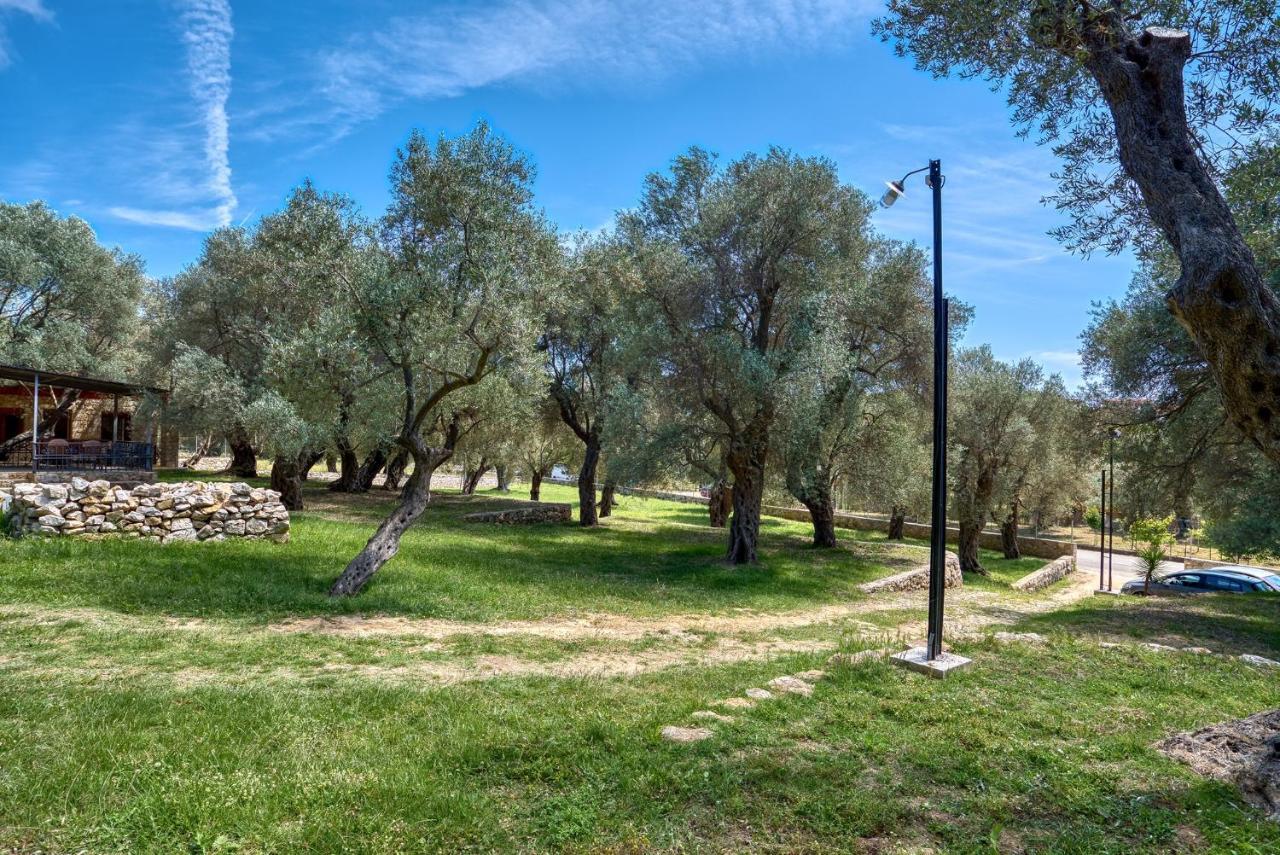 Stonehouse In Olives Lejlighed Ulcinj Eksteriør billede